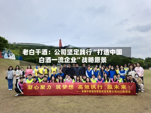老白干酒：公司坚定践行“打造中国白酒一流企业”战略愿景-第3张图片