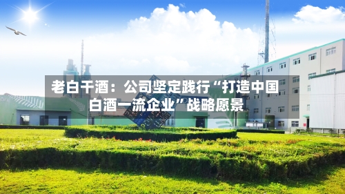 老白干酒：公司坚定践行“打造中国白酒一流企业	”战略愿景-第2张图片