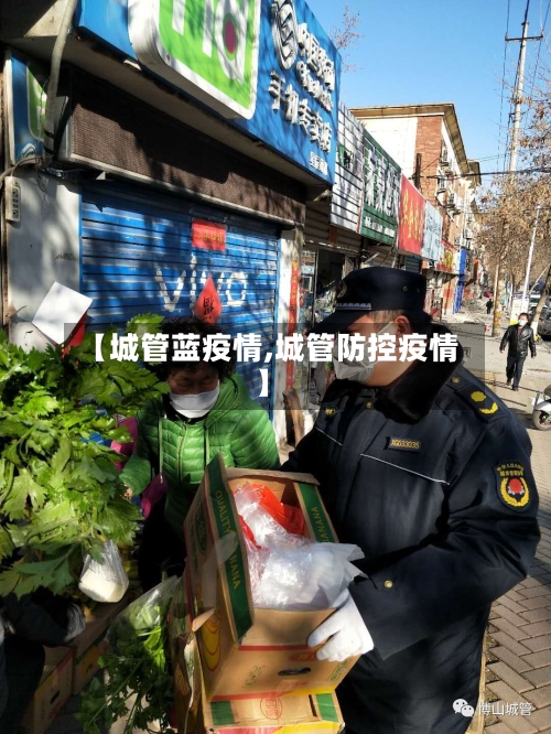 【城管蓝疫情,城管防控疫情】-第2张图片
