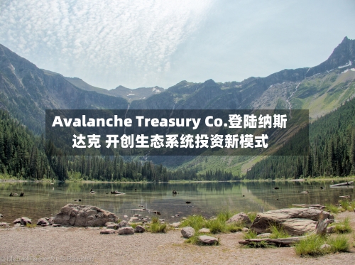 Avalanche Treasury Co.登陆纳斯达克 开创生态系统投资新模式-第2张图片