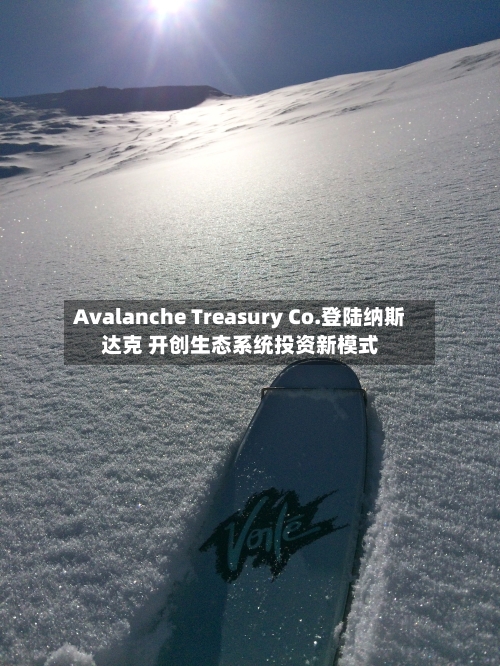 Avalanche Treasury Co.登陆纳斯达克 开创生态系统投资新模式