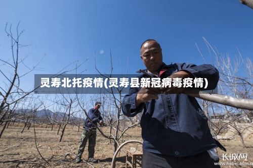 灵寿北托疫情(灵寿县新冠病毒疫情)-第2张图片