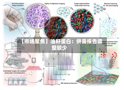 【市场聚焦】油籽蛋白:供需报告调整较少-第2张图片