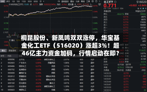 桐昆股份、新凤鸣双双涨停，华宝基金化工ETF（516020）涨超3%！超46亿主力资金加码	，行情启动在即？-第2张图片