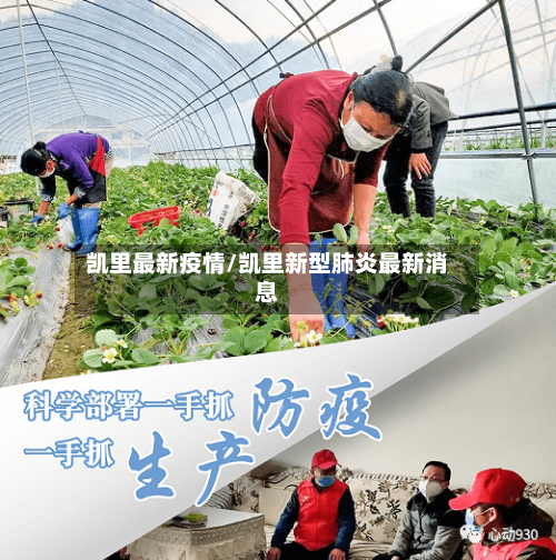 凯里最新疫情/凯里新型肺炎最新消息