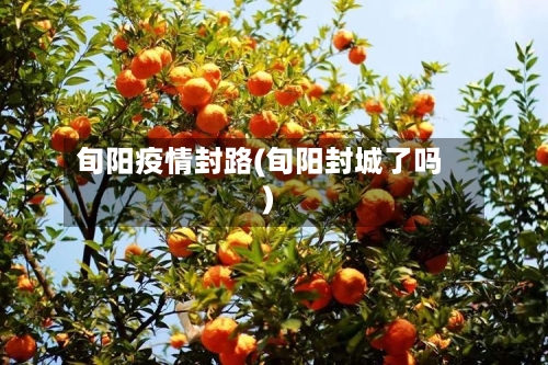 旬阳疫情封路(旬阳封城了吗)