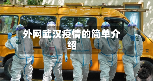 外网武汉疫情的简单介绍-第2张图片