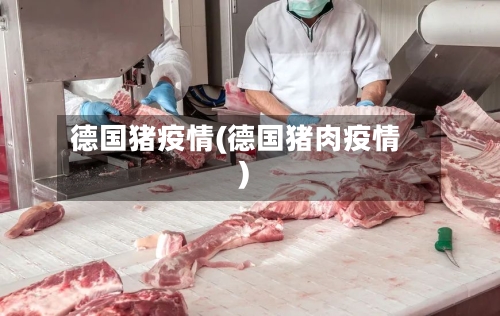 德国猪疫情(德国猪肉疫情)