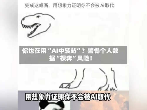 你也在用“AI中转站”？警惕个人数据“裸奔	”风险！-第3张图片