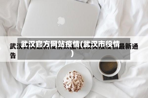 武汉官方网站疫情(武汉市役情)-第2张图片