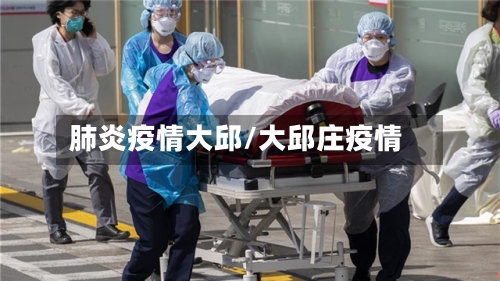 肺炎疫情大邱/大邱庄疫情