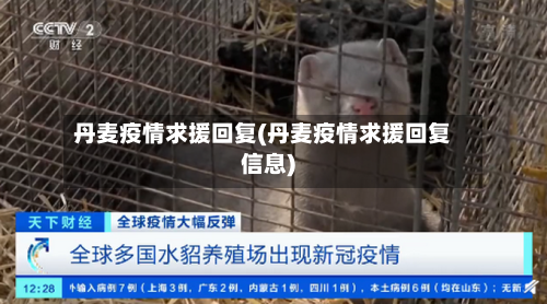 丹麦疫情求援回复(丹麦疫情求援回复信息)-第2张图片