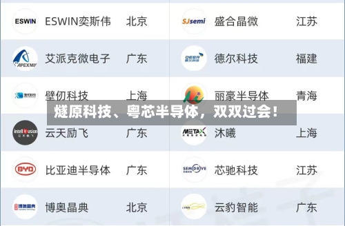 燧原科技、粤芯半导体，双双过会！-第2张图片
