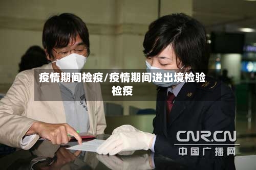 疫情期间检疫/疫情期间进出境检验检疫-第2张图片