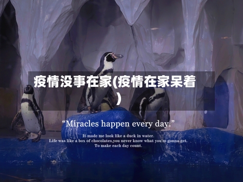 疫情没事在家(疫情在家呆着)-第3张图片