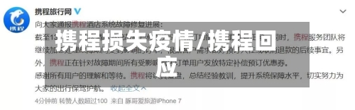 携程损失疫情/携程回应