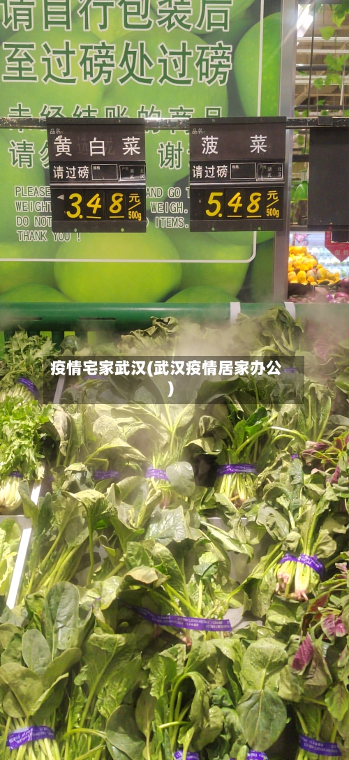 疫情宅家武汉(武汉疫情居家办公)