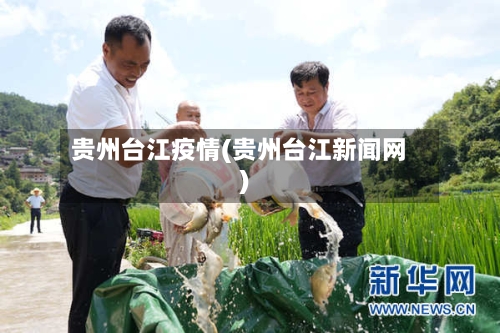 贵州台江疫情(贵州台江新闻网)
