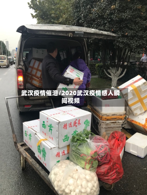 武汉疫情催泪/2020武汉疫情感人瞬间视频-第2张图片