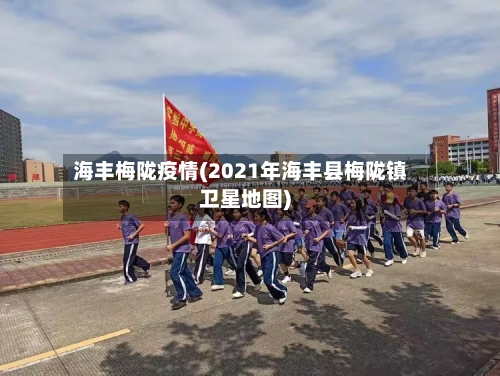 海丰梅陇疫情(2021年海丰县梅陇镇卫星地图)