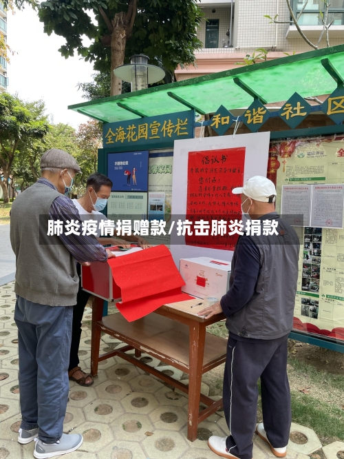 肺炎疫情捐赠款/抗击肺炎捐款