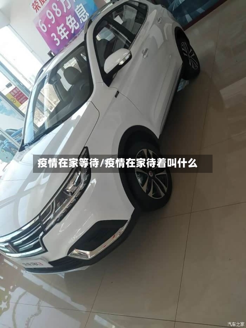 疫情在家等待/疫情在家待着叫什么