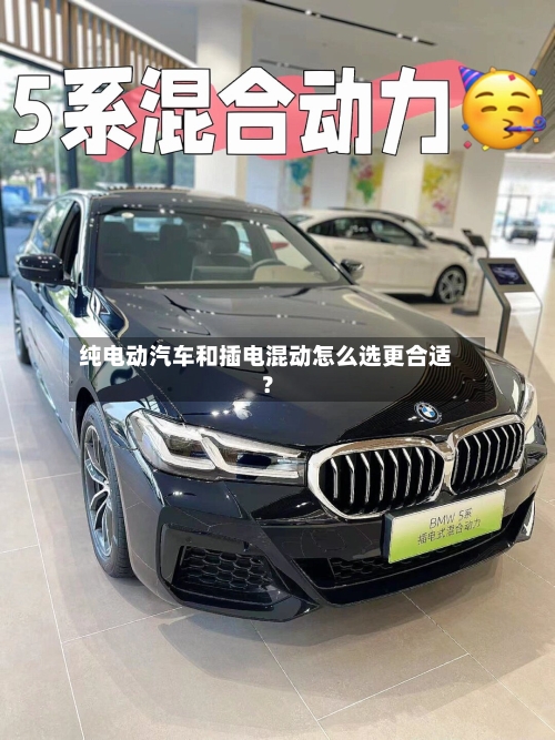 纯电动汽车和插电混动怎么选更合适？-第2张图片