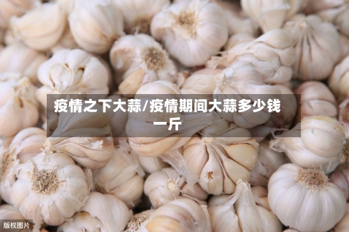 疫情之下大蒜/疫情期间大蒜多少钱一斤