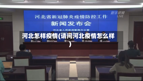 河北怎样疫情(请问河北疫情怎么样)-第3张图片