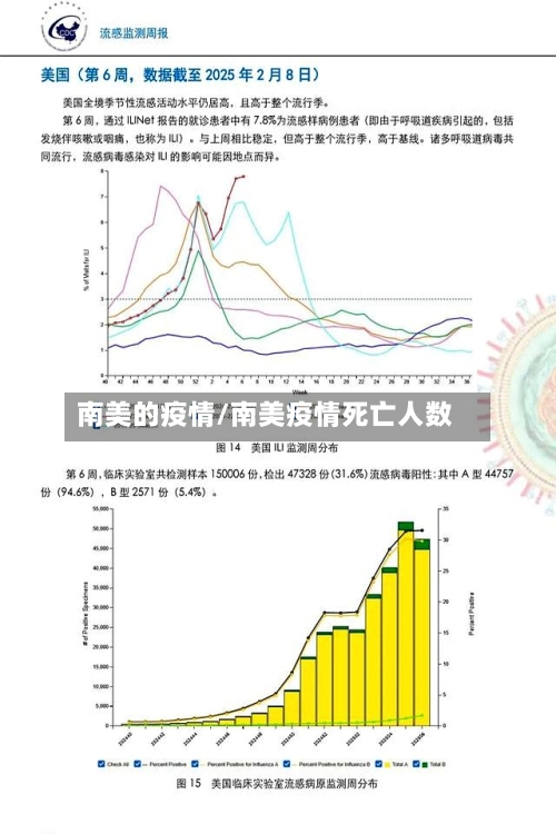 南美的疫情/南美疫情死亡人数-第3张图片