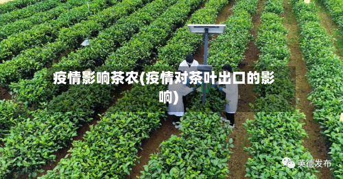 疫情影响茶农(疫情对茶叶出口的影响)