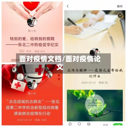 面对疫情文档/面对疫情论文-第2张图片