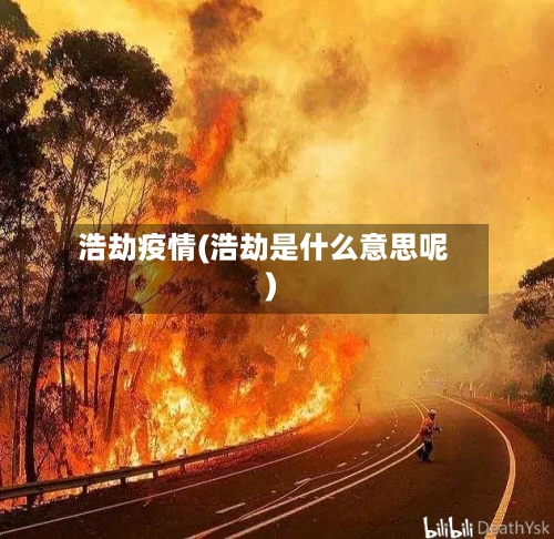 浩劫疫情(浩劫是什么意思呢)-第2张图片