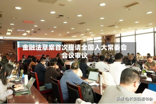金融法草案首次提请全国人大常委会会议审议-第3张图片