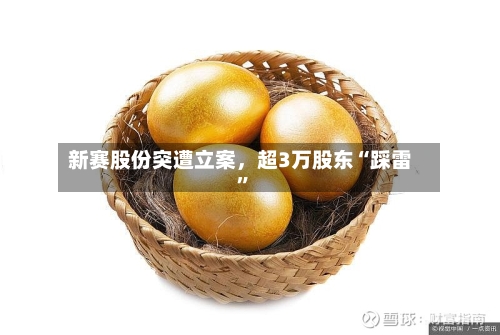 新赛股份突遭立案，超3万股东“踩雷”-第2张图片