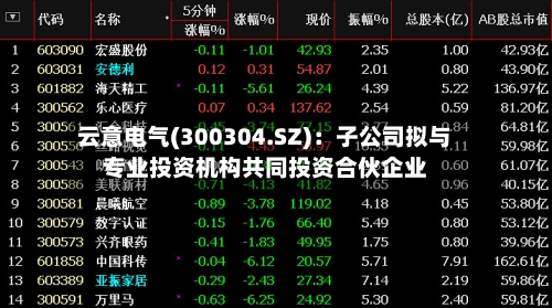 云意电气(300304.SZ)：子公司拟与专业投资机构共同投资合伙企业