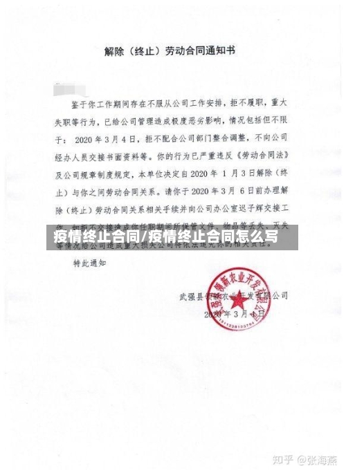 疫情终止合同/疫情终止合同怎么写-第3张图片