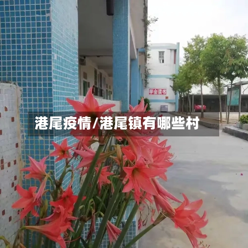 港尾疫情/港尾镇有哪些村