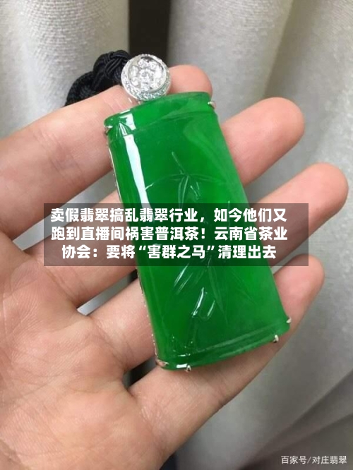 卖假翡翠搞乱翡翠行业，如今他们又跑到直播间祸害普洱茶！云南省茶业协会：要将“害群之马”清理出去-第3张图片