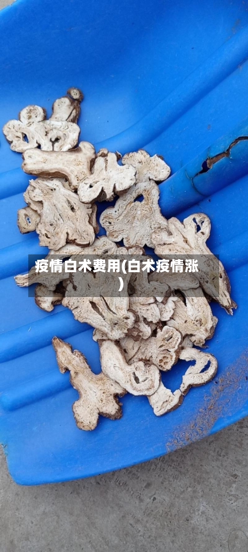 疫情白术费用(白术疫情涨)
