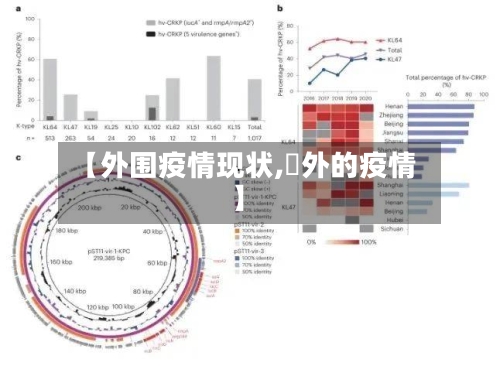 【外围疫情现状,囯外的疫情】-第2张图片