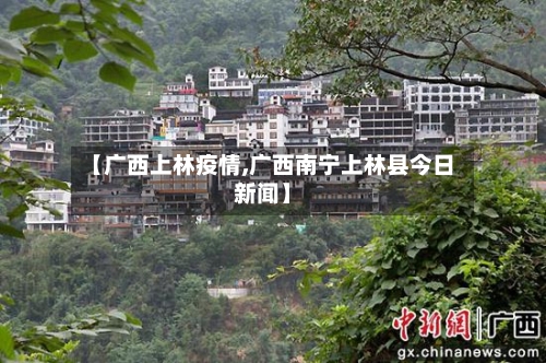 【广西上林疫情,广西南宁上林县今日新闻】