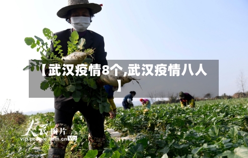 【武汉疫情8个,武汉疫情八人】-第3张图片