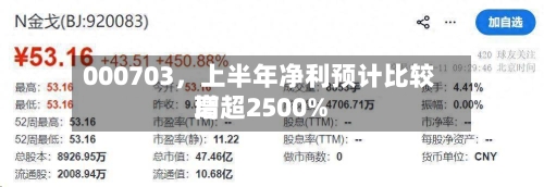 000703，上半年净利预计比较高增超2500%