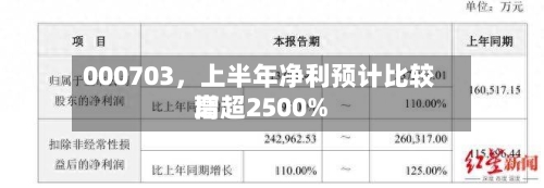 000703，上半年净利预计比较高增超2500%-第3张图片