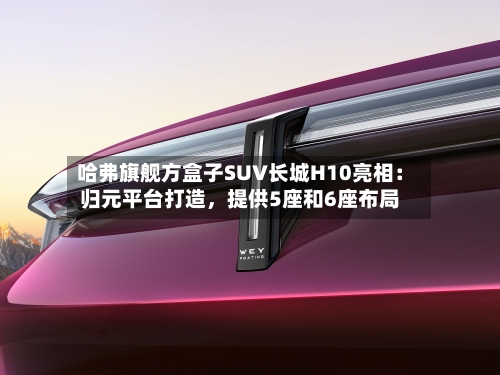 哈弗旗舰方盒子SUV长城H10亮相：归元平台打造	，提供5座和6座布局-第3张图片
