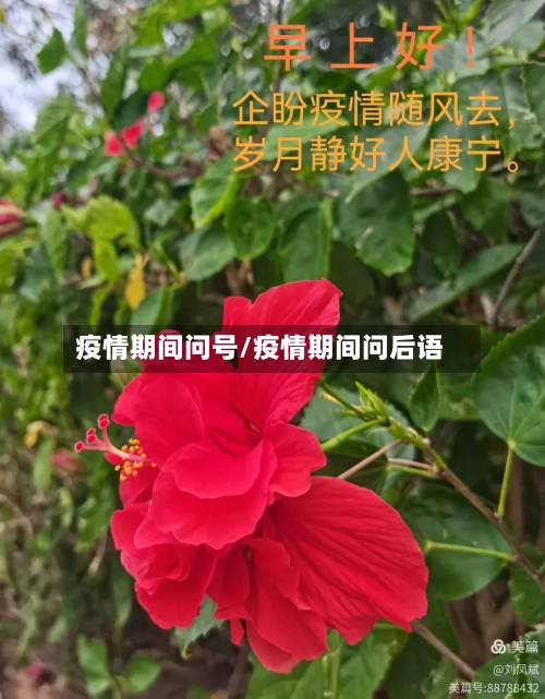 疫情期间问号/疫情期间问后语-第3张图片
