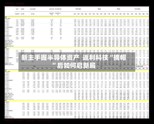 新主手握半导体资产  返利科技“摘帽”后如何启新局-第3张图片
