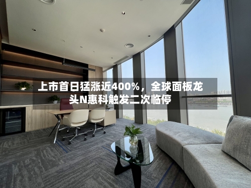 上市首日猛涨近400%，全球面板龙头N惠科触发二次临停-第3张图片