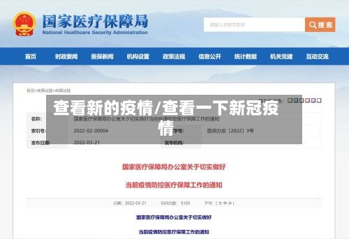 查看新的疫情/查看一下新冠疫情